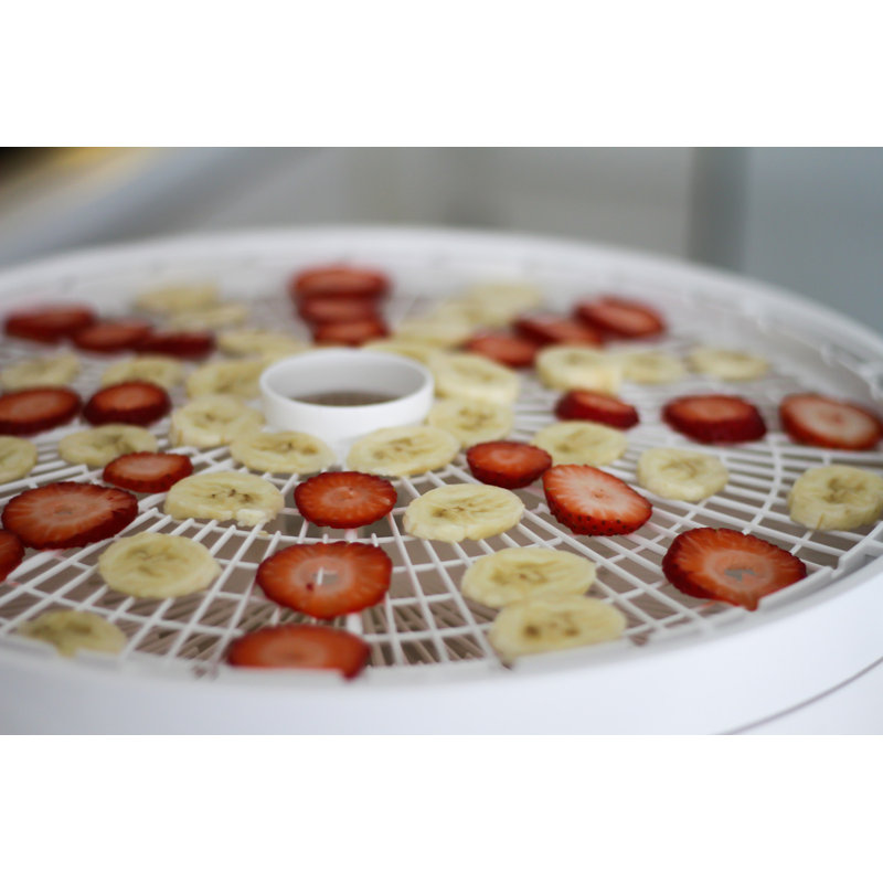 Nesco 8 Tray Gardenmaster Food Dehydrator & Reviews Wayfair